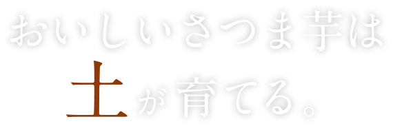 おいしいさつま芋は土が育てる