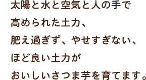 太陽と水と空気と人の手で高められた土力、肥え過ぎず、やせすぎない、ほど良い土力がおいしいさつま芋を育てます。