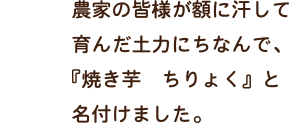 農家の皆様が額に汗して育んだ土力にちなんで、『焼き芋　ちりょく』と名付けました。